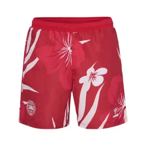 225850-7995-swim-shorts-hummel-dbu-fan-24-multi-color