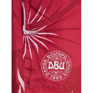 225851-7995-children-s-swimming-shorts-hummel-dbu-fan-24-multi-color