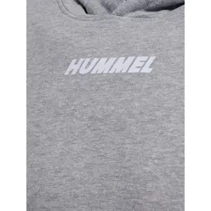 Sudadera con capucha Hummel Elemental image-4