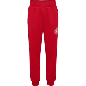 Træningsbukser til børn Hummel DBU image-0