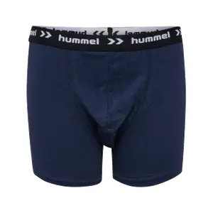 Calzoncillos para niños Hummel Nalle (x3) image-2