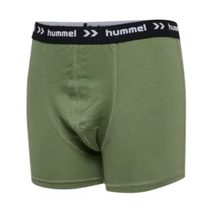 Calzoncillos para niños Hummel Nalle (x3) image-3