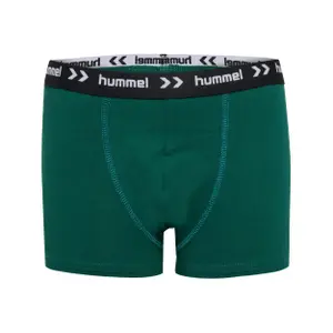 Calzoncillos para niños Hummel Nalle (x3) image-0