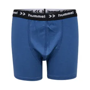 Calzoncillos para niños Hummel Nalle (x3) image-1