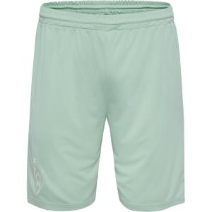 226738-6117-short-werder-de-breme-2024-25-silt-green