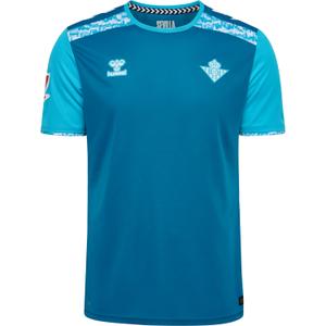 226835-7351-community-jersey-2024-25-celestial-cyan