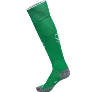 227475-6756-meias-principais-asse-2024-25-verde-brilhante