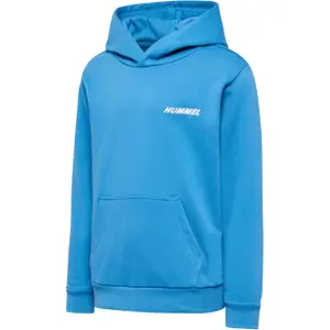227651-7373-hoodie-kinder-hummel-casper-blauer-flechte