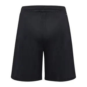 Korte Hummel Graphic Universe image-1