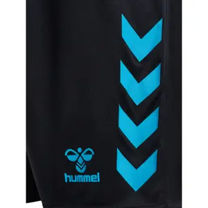 Korte Hummel Graphic Universe image-3