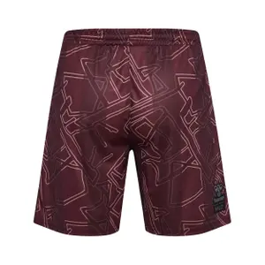 Danish Shorts X 2024/25 image-1