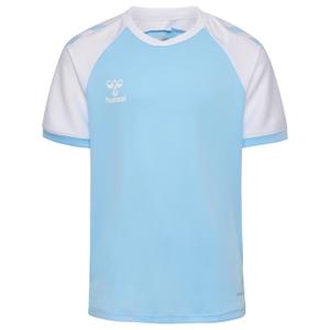 233154-7473-koszulka-dla-dzieci-hummel-league-argentina-niebieski-bialy