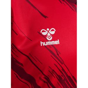 Trikot Hummel Triumph image-4