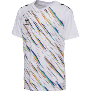 Kindertrikot Hummel Match Triumph image-1