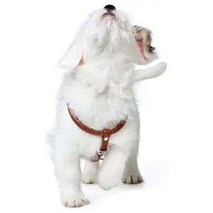 Hundegeschirr Hunter R&S Canadian UP image-3