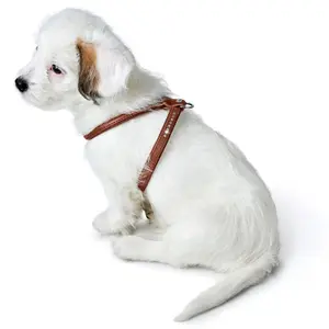 Hundegeschirr Hunter R&S Canadian UP image-1