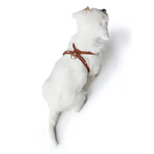 Hundegeschirr Hunter R&S Canadian UP image-2