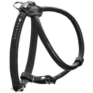 Hundsele Hunter R&S Canadian UP image-0