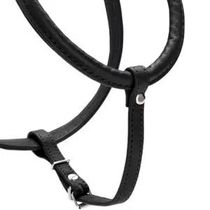 Hundsele Hunter R&S Canadian UP image-3