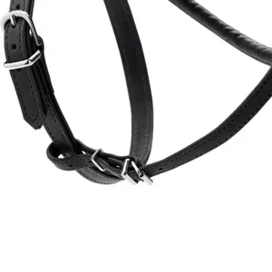 Hundsele Hunter R&S Canadian UP image-4
