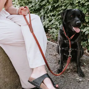 Laisse pour chien Hunter Round & Soft Canadian Up image-2