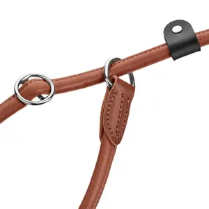Retriever dog leash Hunter Round & Soft Canadian Up image-1