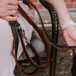 Dog leash Hunter Canadian Up image-4