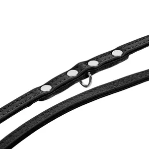 Dog leash Hunter Canadian Up image-3