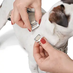 Hundsele Hunter Divo Up image-4