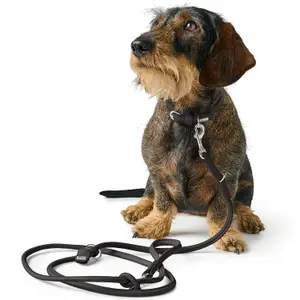Adjustable leash for small dogs and puppies Hunter Soho Round Mini image-2
