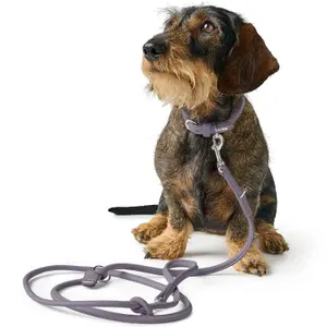 Adjustable leash for small dogs and puppies Hunter Soho Round Mini image-3