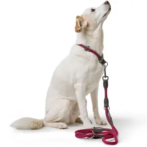 Laisse pour chien réglable Hunter Freestyle image-2