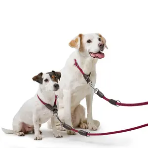 Laisse pour chien réglable Hunter Freestyle image-3