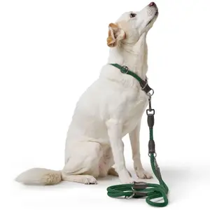 Adjustable dog leash Hunter Freestyle image-2