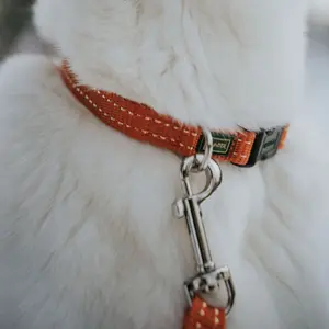 Hundhalsband Hunter Tripoli VB image-2