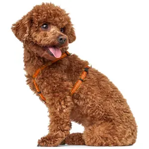 Hundsele Hunter Tripoli image-5