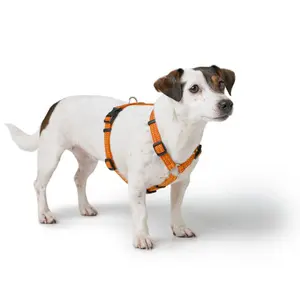 Hundsele Hunter Tripoli image-2