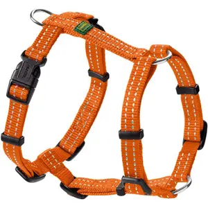 Hundsele Hunter Tripoli image-0