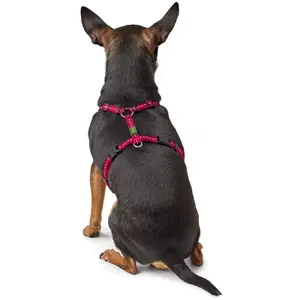 Hundsele Hunter Tripoli image-2