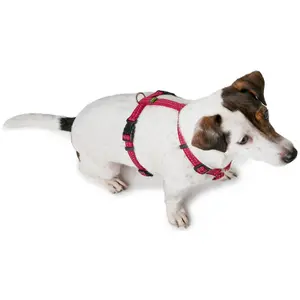 Hundsele Hunter Tripoli image-3