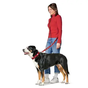 Dog leash Hunter Swiss image-1