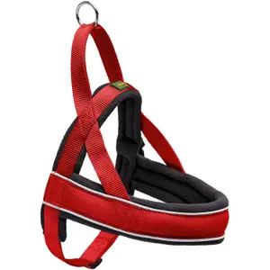 Harnais pour chien Hunter Racing image-0
