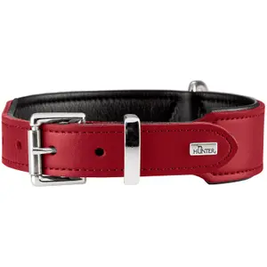 Collar para perro Hunter Basic image-1