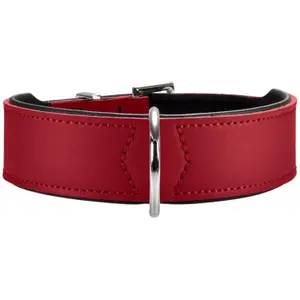 Collar para perro Hunter Basic image-2