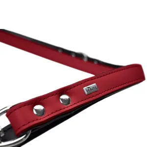 Dog leash Hunter Basic image-1