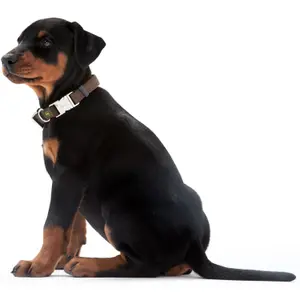 Hundehalsband Hunter Vario Basic Alu-Strong image-2