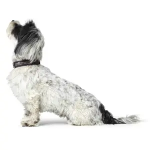 Hundehalsband Hunter Softie Deluxe image-2