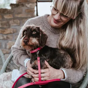 Collier pour chien Hunter Diamond Petit image-3