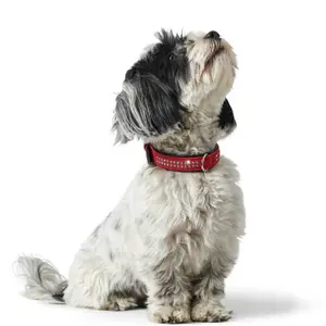 Hundehalsband Hunter Softie Deluxe image-2
