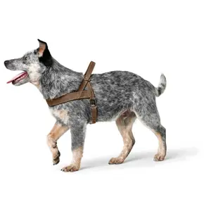 Harnais pour chien Hunter Norweg Hunting image-1